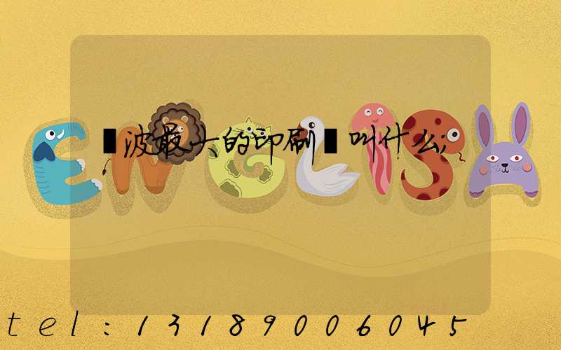 寧波最大的印刷廠叫什么