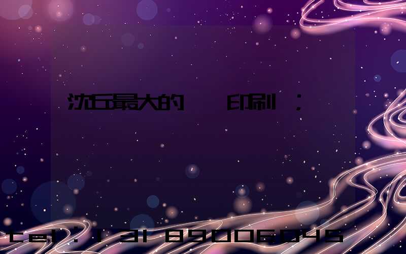 沈丘最大的冥幣印刷廠