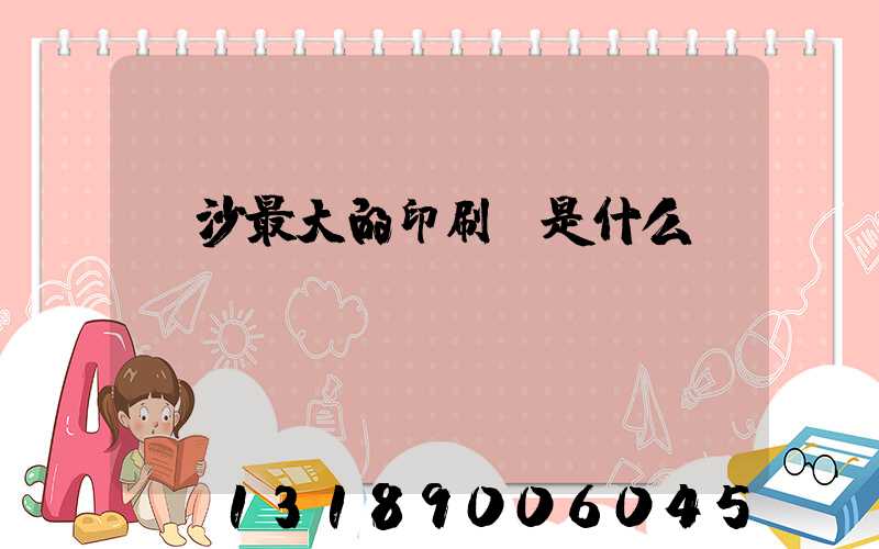 長沙最大的印刷廠是什么廠